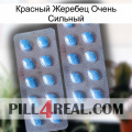 Красный Жеребец Очень Сильный viagra4